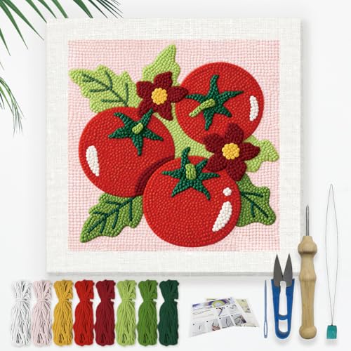 Doodlream Fresh Tomato Needle Kit for Beginner, 9.4"x 9.4" Color Vegetable Punch Stitching Craft Set, DIY Embroidery Starter with Printed Frame, Instruction, Threader, Yarn, Pinch Needle - color: Tomato
