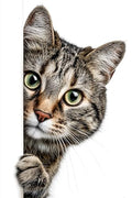 Moohue Stamped Cross Stitch Kits for Adults Animal Cat 14CT Pre Printed Cross Stitch Kits for Beginners (Animal Cat) - color: Animal Cat