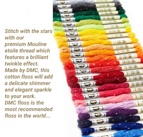 DMC Embroidery Floss, Mouline Etoile Tin Bundle with Hand Needles Size 3/9.