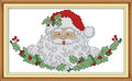 CaptainCrafts Cross Stitch Kits Counted Kit Unprinted 14CT Fabric Cross Stitching DIY Art DMC Needlecrafts Embroidery Kit for Adults Beginner (White, Santa Claus) - color: Santa Claus, style: White