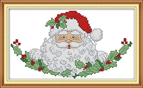 CaptainCrafts Cross Stitch Kits Counted Kit Unprinted 14CT Fabric Cross Stitching DIY Art DMC Needlecrafts Embroidery Kit for Adults Beginner (White, Santa Claus) - color: Santa Claus, style: White