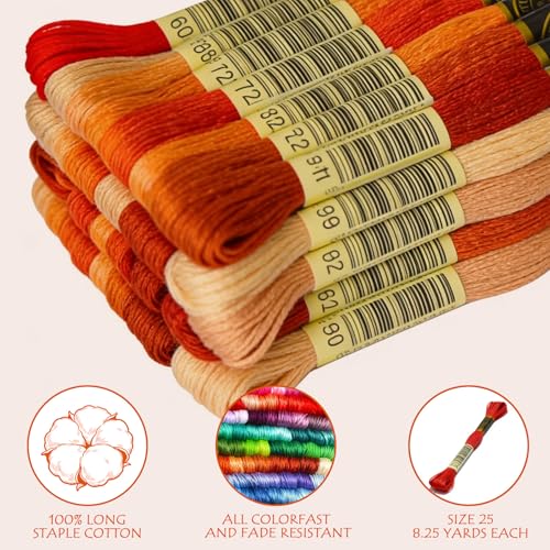Orange-red Gradient Color Embroidery Floss - Cross Stitch Threads - Friendship Bracelets Floss - Crafts Floss - 14 Skeins Per Pack Embroidery Floss - color: Orange-red Gradient