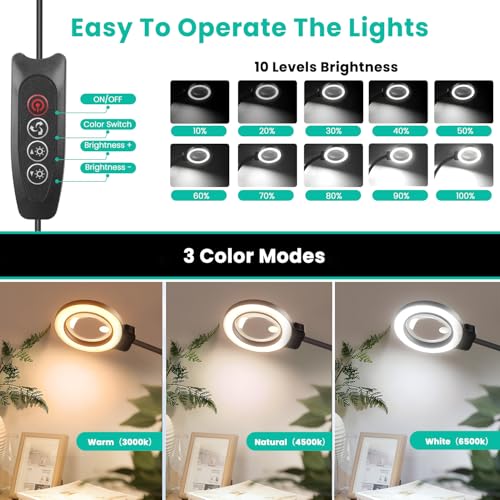 10X/30X Magnifying Glass with Light and Stand, 2-in-1 Magnifying Floor Lamp with 72 Adjustable Brightness LED Lamp Bulbs, Flexible Gooseneck Standing Magnifying Lamp for Close Work, Craft, Reading - color: Black