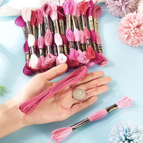 24 Skeins Embroidery Thread Floss 1mm Friendship Bracelet String Making 6 Ply Polyester Cross Stitch Kit Supplies 24 Color 8.75 Yards(8m)/Skein - color: 24 Colors D
