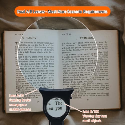 5X 10X Hands Free Magnifying Glass with Light for Close Work, Neck Wear Magnifier for Reading Book, Sewing, Knitting, Repairing, Cross Stitch, Crafts, Lighted Loupe for Seniors Low Vision