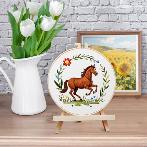 ERKOON Embroidery Kit for Beginners Adult, Cross Stitch Set Include Embroidery Cloth Hoop Threads for Craft Lover Hand Stitch with Embroidery Skill Techniques (Horse) - color: House