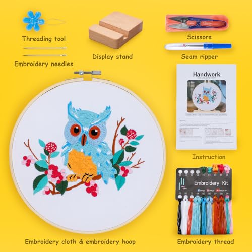 BERYA Owl Embroidery Kit, Embroidery Kit for Adult, Owl Pattern Practice Kit, Including Video Step by Step Instructions, Embroidery Hoop, Cloth, Needles and Thread for DIY Craft Lover (BEO011) - color: owl blue