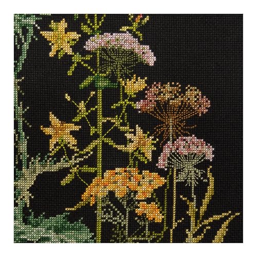 Thea Gouverneur - Counted Cross Stitch Kit - Herb Panel - Aida Black - 18 Count - Embroidery Kit for Adults - DMC Embroidery Threads and Other Cross Stitch Supplies Included - 424.05 - color: 424.05 Aida Black