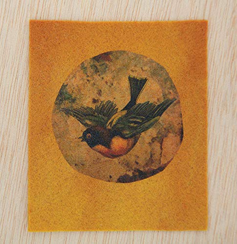 TAP Transfer Artist Paper, 5 Pack: 5 Iron-on Image Transfer Sheets, 8.5" x 11"