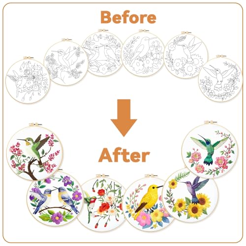 BEUNITONE 6 Set Hummingbird Starter Embroidery Kit with Pre-Stamped Pattern - style: Hummingbird