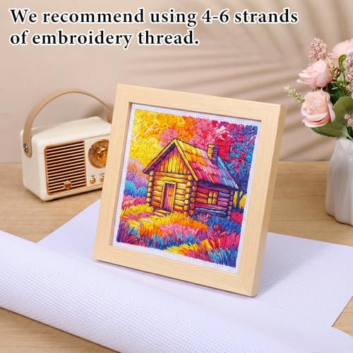 14 Mesh Needlepoint Canvas 20" x 20", 2 Pack Cross Stitch Aida Cloth - size: 20" x 20"