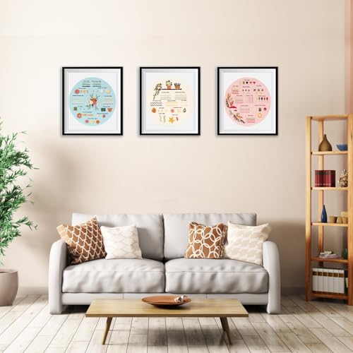 Beginner Embroidery Kit for Adults, 3 Pack Patterns with Video Guide - color: Floral Stitch Sampler
