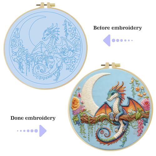Black dragon handmade DIY embroidery kit,suitable for adult beginners,includes embroidery cloth, instructions, embroidery frame and needle and thread, suitable for holiday gifts (Blue Dragonfly) - style: Blue Dragonfly