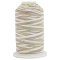 ThreadArt Multicolor Cotton Thread, 600M 40/3, Violet Fields 2640 - color: Violet Fields