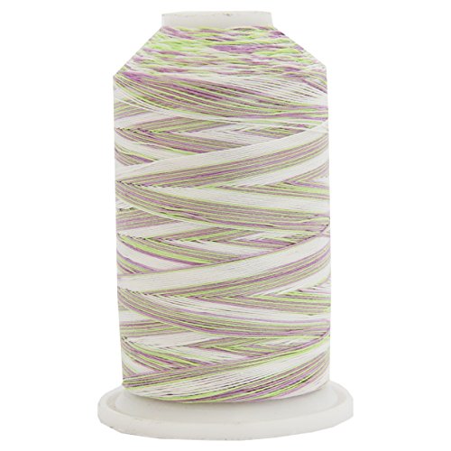 ThreadArt Multicolor Cotton Thread, 600M 40/3, Violet Fields 2640 - color: Violet Fields