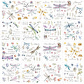 Wxiben 12 Pcs Dragonfly Rub on Transfers for Crafts and Furniture - style: Dragonfly