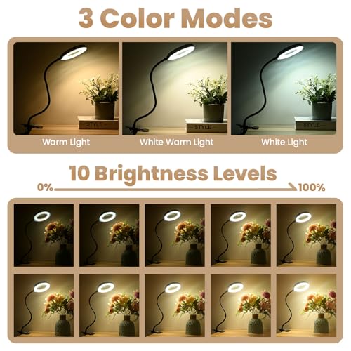 10X Magnifying Glass with Light and Timer, 2 in 1 Magnifying Desk Lamp, 3 Color Modes 10 Dimmable Brightness, Flexible Gooseneck Magnifier with Light for Craft Hobby Painting Sewing Close Work - size: 120MM-Updated