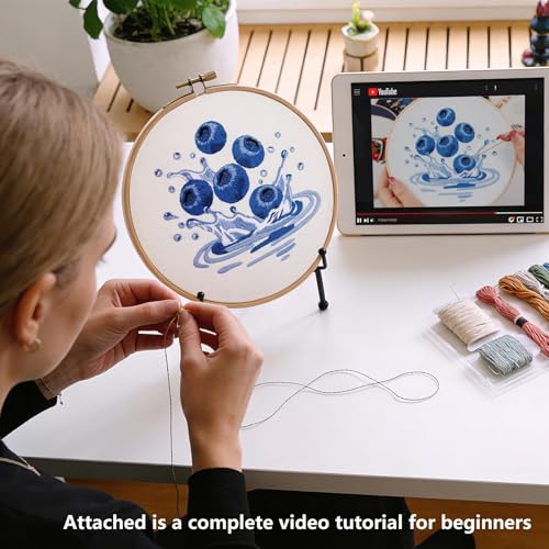 Armindou 2Set Embroidery Kits with Fruit Pattern for Beginners Adults, Hand Embroidery Needlepoint DIY Kits, Stamped Cross Stitch Kits for Beginners Adult, 2 Embroidery Hoops (Attached Video Tutorial) - color: Blue and Red, size: 8inch