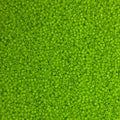 Miyuki Delica 11/0 Seed Beads - Glass Beads Bulk 5 Grams & Size 1.6mm 1000 Pieces Glass Seed Beads Pistachio Green (DB2121) - color: DB2121