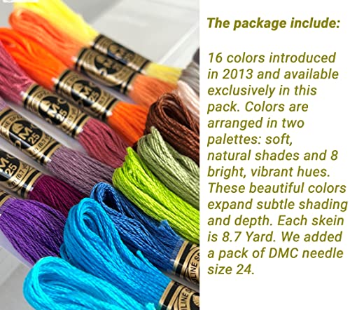 DMC Embroidery Floss Set,Special Selection Pack Bundle with Needles Size24.