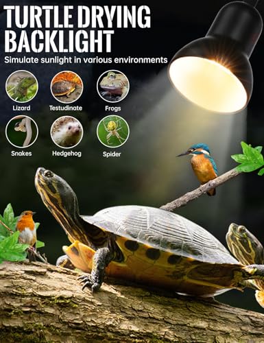 Clip On Gooseneck Lamp - 300W Max, Ceramic Fire-Resistant E26 Socket, Classic Durable Switch, Adjustable Flexible Clamp Light for Desk, Workbench, Bed Headboard, Table, Grow (Standard Clip Desk Light) - color: Standard Clip Desk Light