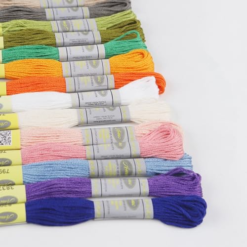 100 Colors Set Premium Double Mercerized Egyptian Cotton Embroidery Floss 8M Each for Cross Stitch Threads, Friendship Bracelets Floss, Craft Floss, Embroidery Floss Set (100 Skeins) - color: Set 23 (100 Skeins)