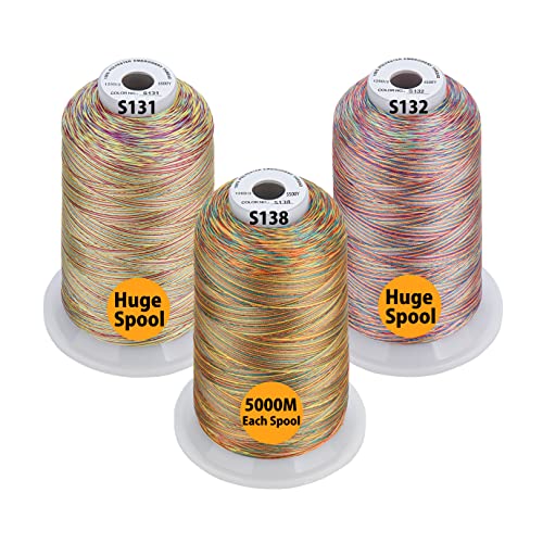 Simthread - 33 Selections - Various Assorted Color Packs of Polyester Embroidery Machine Thread Huge Spool 5500Y for All Sewing Embroidery Machines - 3 Variegated Colors 1 - color: 3 Variegated Colors 1