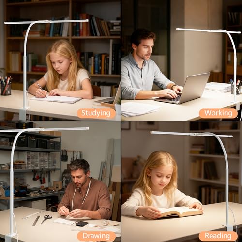 Dual-Head LED Desk Lamp for Office Home, Adjustable Flexible Eye-Caring Desk Light, 5 Modes 10 Brightness Adjustment, USB Adapter Desk Lamp with Clamp-ST-W - style: Double Head White