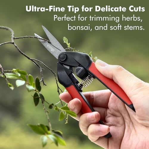 LIVINGO Garden Pruning Shears 2 Pack with Sharp Stainless Steel Blades