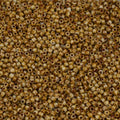 10g TOHO Seed Beads 11/0, Small Japan rocailles, #41+T Beige Picasso Hybrid - color: 41+T - 11/0 (small)