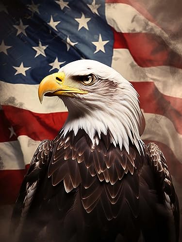 SKRYUIE 5D Eagle Diamond Painting Kits - DIY Diamond Art Kits for Adults American Flag, Full Round Drill - Crystal Cross Stitch - Adults Craft for Wall & Office Decor - 12x16 inch - color: Colorful-1