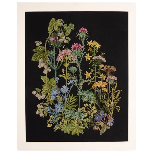 Thea Gouverneur - Counted Cross Stitch Kit - Herb Panel - Aida Black - 18 Count - Embroidery Kit for Adults - DMC Embroidery Threads and Other Cross Stitch Supplies Included - 424.05 - color: 424.05 Aida Black