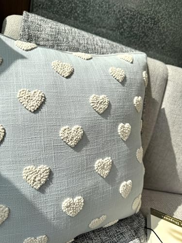 VAGMINE Embroidered Tufted Heart 18x18 Throw Pillow Cover, Robins Egg - color: Robins Egg-french Knots, size: 18" x 18" (Pack of 1)