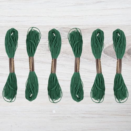 Embroidery Floss Pack – 6 Skeins, 8.7 Yards Each – Caldon Green Embroidery Floss for Needlework, DIY Bracelets, Crafting, Weaving - color: Caldon Green