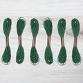 Embroidery Floss Pack – 6 Skeins, 8.7 Yards Each – Caldon Green Embroidery Floss for Needlework, DIY Bracelets, Crafting, Weaving - color: Caldon Green