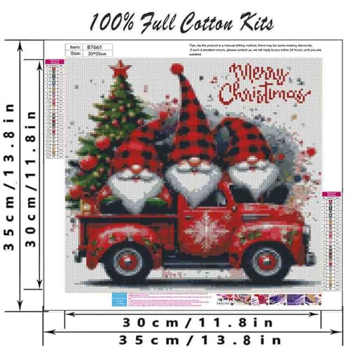 DYAIANGMU Gnome Stamped Cross Stitch Kit for Adults 13.7x13.7 inches - color: Y091