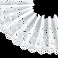 FINGERINSPIRE 3 Yards Ivory White Eyelet Cotton Trim 9inch Wide Cotton Lace Floral Embroidery Lace Trim Wavy Edge Floral Cotton Lace Ribbon for Sewing Dresses Clothes Bag Pets Clothes Decoration