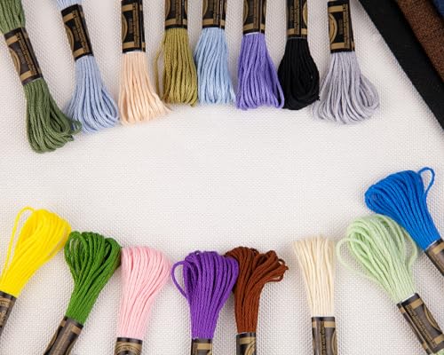 12 Skeins Embroidery Cotton Floss of 8.75yds for DIY Embroidery, Black - color: Black