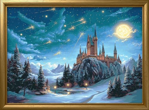 Leczany Cross Stitch Patterns Stamped Kit for Beginners | Embroidery Supplies DIY Craft Kit Needlepoint for Adults Starter | 11CT, 3 Strands | Under the Moon Castle 15.8x22.4 inches - color: 11CT Stamped kits, Under the Moon Castle 15.8x22.4 inches
