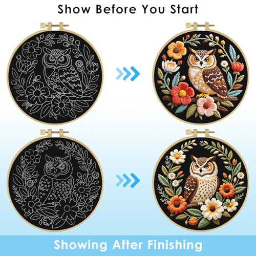ERKOON Embroidery Kit for Beginners, 2 Set Flower Cross Stitch Set Include Embroidery Cloth Hoops Threads for Craft Lover Hand Stitch with Embroidery Skill Techniques (Owl) - color: Owl