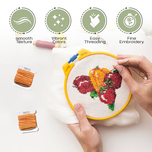 Embroidery Floss Kit and Refills - Cotton Threads - DMC Color Coding for Cross Stitch, String Crafts, Friendship Bracelets - color: 3353 Amber