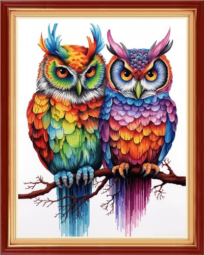 Foxhool Stamped Cross Stitch Kits,11CT Printed Cross Stitch Pattern Full Embroidery Kits for Beginner Needlepoint Kits-Two Colorful Owls 16x20 inch - color: Craftpatterns11