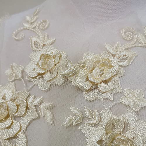 2 Pair 29x13cm Red/Pink/Purple/Sky Blue Wedding Dress Lace Shirt Accessories Embroidery Lace Garment Design DIY Accessories (Champagne) - color: Champagne