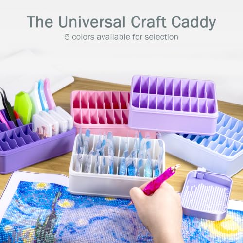 RaySoar 3D Printed 20 Grids Diamond Painting Bag Organizer, Multi Slot Drill Bags Storage Tray, Spill Proof Stand Upright Portable Desktop Craft Storage Caddy for Small Diamond Art Accessories -White - color: White
