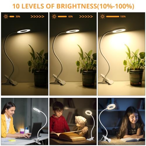 Woputne Desk Lamp Clip on Desk Reading Lights for Books in Bed (White) - size: White-1 Piece-Standard-With Adapter