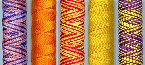 Sue Spargo Eleganza #5 Perle, Five 40yd Spools of Polished Cotton Thread for Embroidery Bundle (D - Hopscotch)
