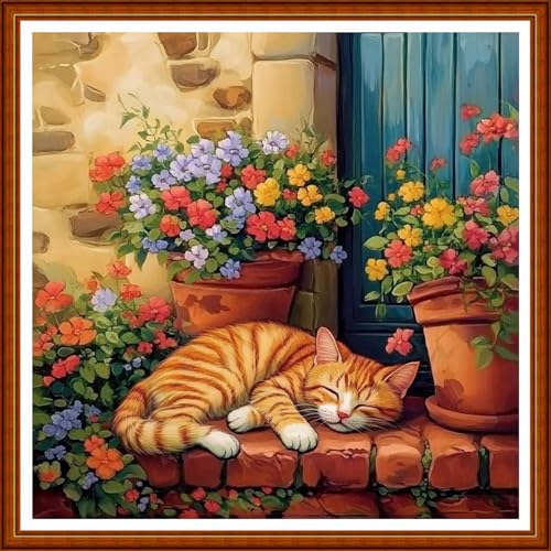 Funart Stamped Cross Stitch Kits for Beginners Full Range of Cross Stitching Preprinted Embroidery Kits for Adults, 11CT Embroidery Pattern Needlepoint Kits-The cat Sleeping on windowsill 18x18 inch - color: ColorArt52