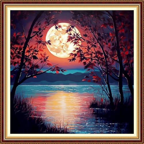 Funchey Stamped Cross Stitch Kits, DIY Cross Stitch Pattern for Adults Beginners Needlepoint Kits Embroidery Kit Arts and Crafts 11CT-Moonlight by the Lake 18x18 inch - color: Handicraft patterns18