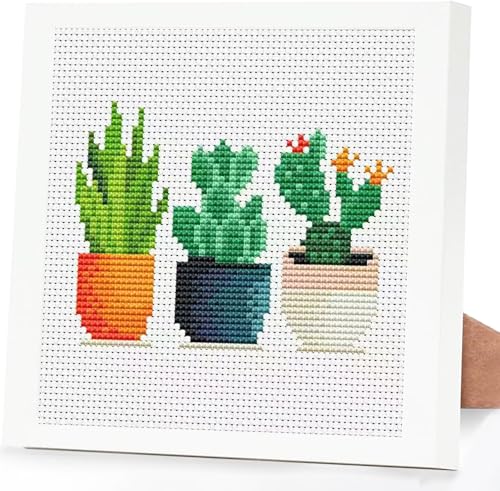Tiwabb Succulent Stamped Cross Stitch Kits for Adults Beginners with Frame - color: Plant Cross Stitch with Frame