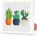 Tiwabb Succulent Stamped Cross Stitch Kits for Adults Beginners with Frame - color: Plant Cross Stitch with Frame
